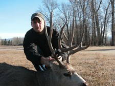 Deer Hunting